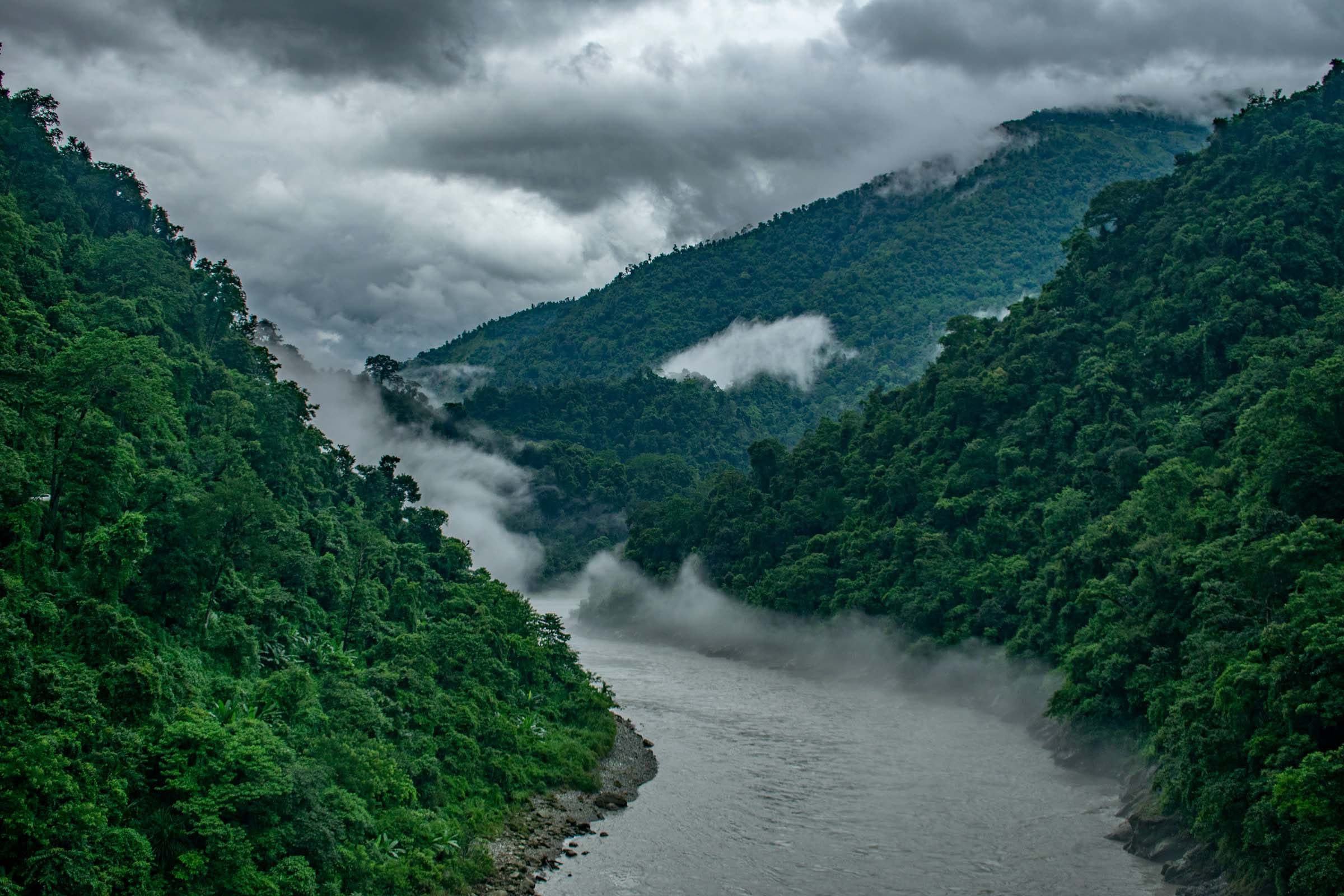 Rakshit Special Tin - Bigha -With - Dooars tour