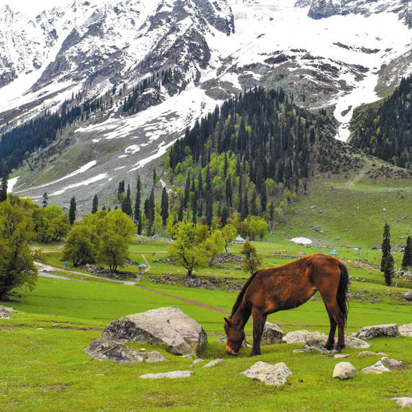 Golden temple tour package kolkata