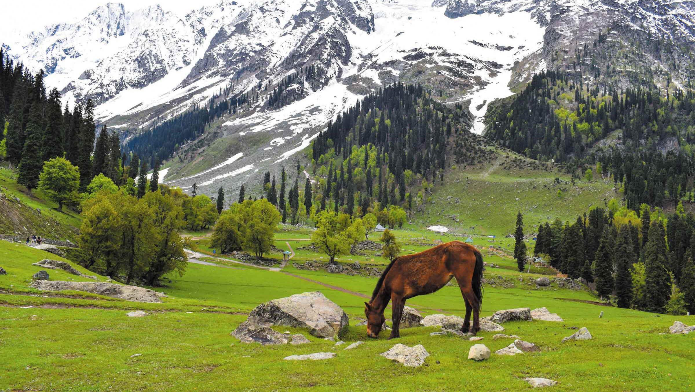 Rakshit Special Kashmir tour