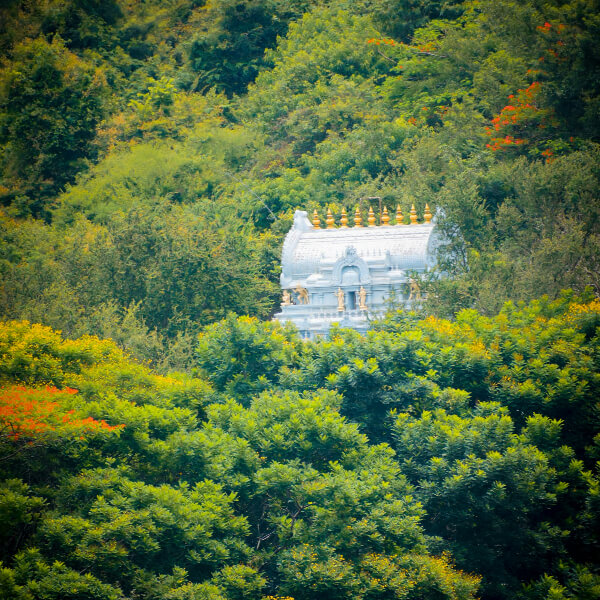 Golden temple tour package kolkata