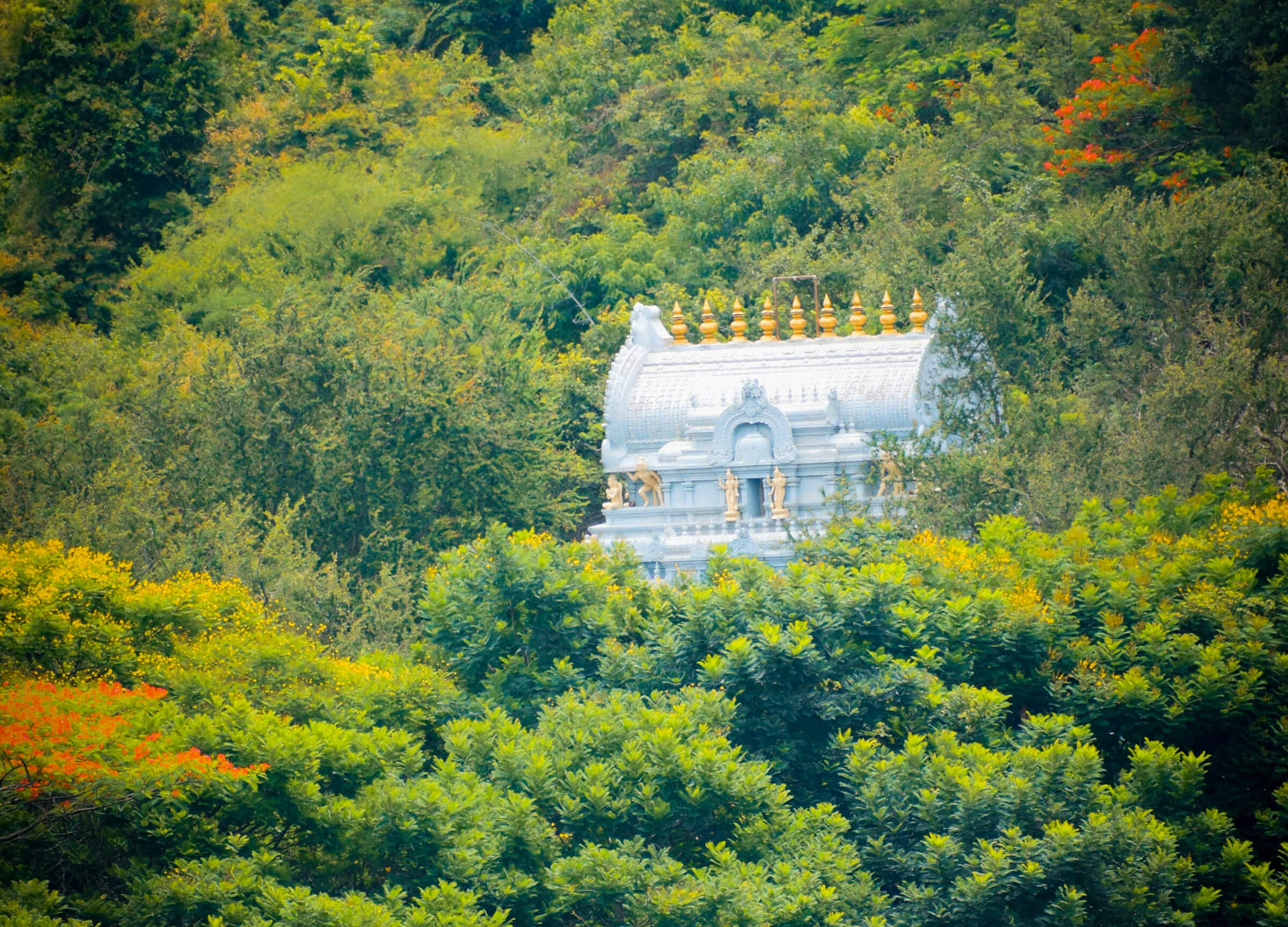 Rakshit Special Tirupati-Tamilnadu tour